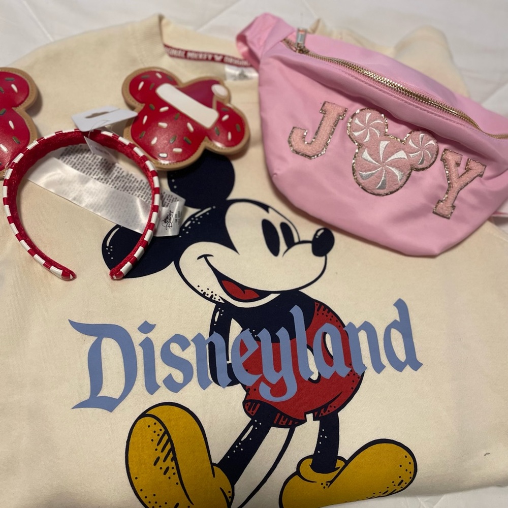 Disney Inspired Fanny Pack New- never used